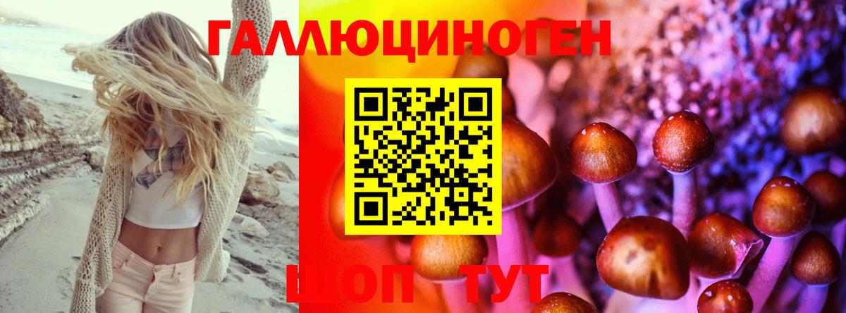 Галлюциногенные грибы мухоморы Избербаш